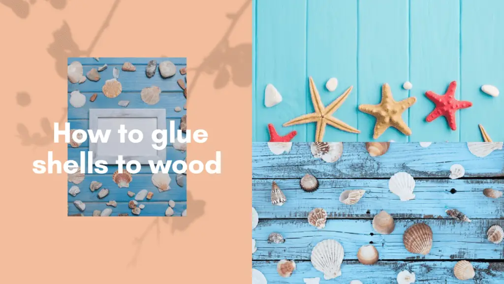 How To Glue Shells To Wood