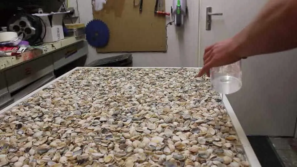 Use Epoxy To Stick Seashells On Wood