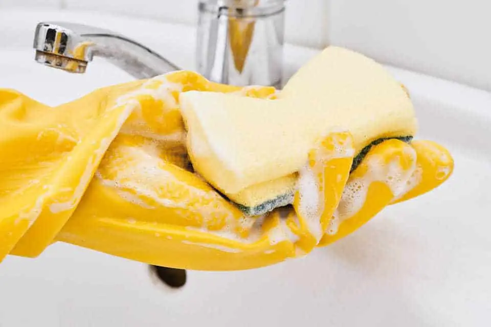 Dip sponge into soapy water